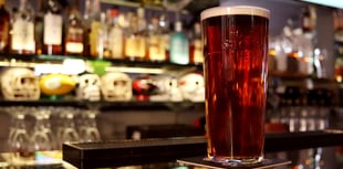 A Forest View with Dave Kent