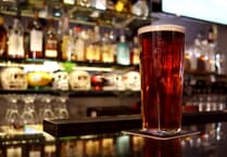 A Forest View with Dave Kent