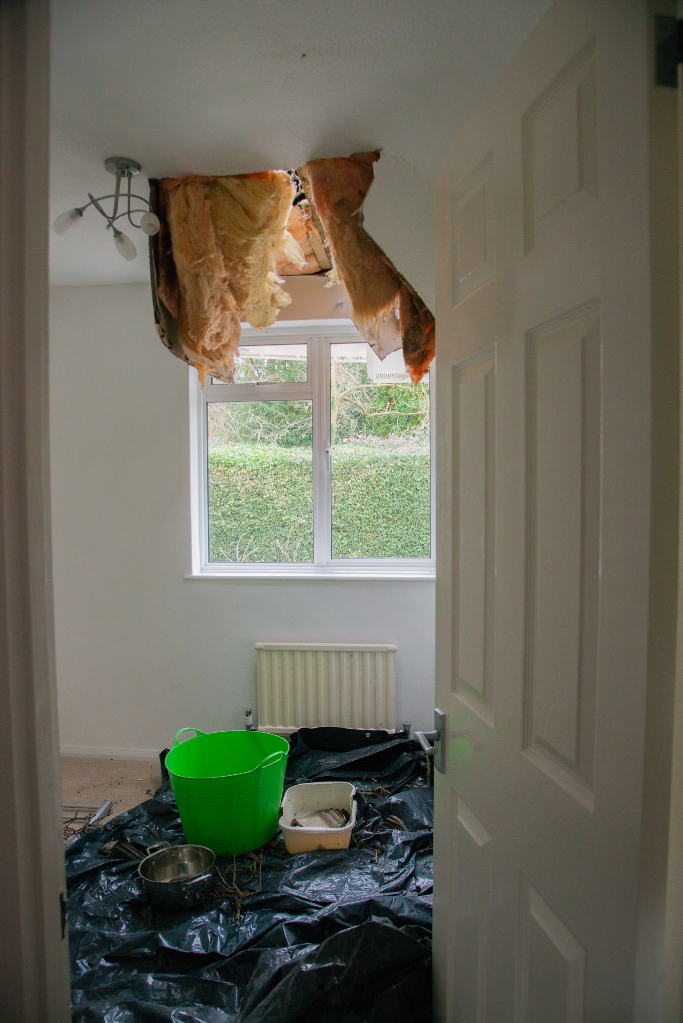 The tree pierced the roof
PHOTO: LAURA CARLING PHOTOGRAPHY