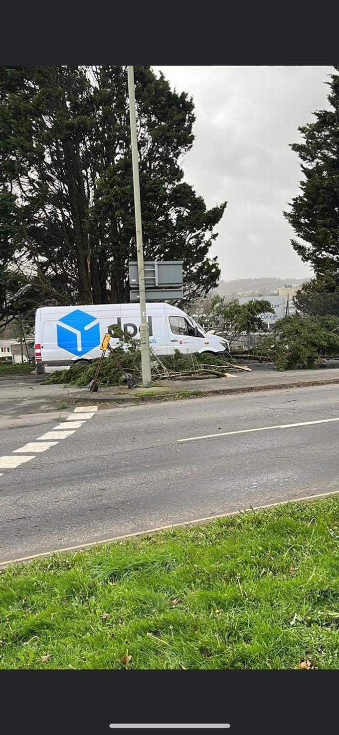 Branches in Ashburton Road Newton Abbot