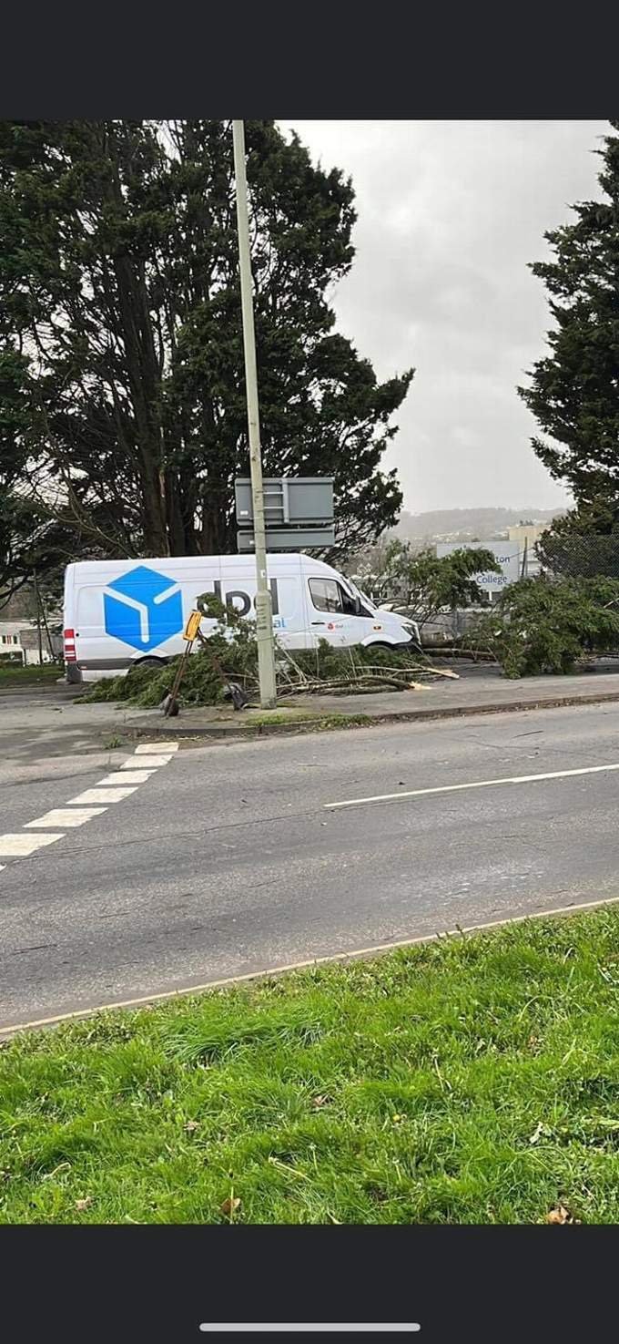 Branches in Ashburton Road Newton Abbot