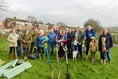 A variety of trees planted in Crediton
