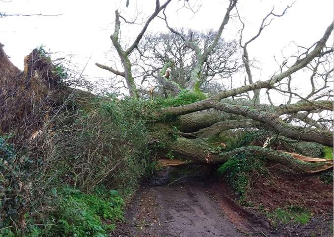 Storm Ciara