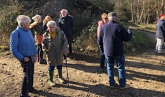 Sunny stroll for Liphook u3a group