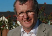 Two new MLCs elected