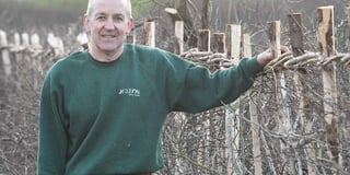 Phil keeps traditional countryside skill alive