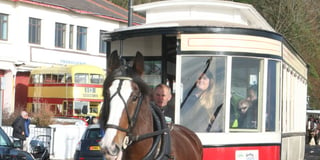 Horse trams won't go full length of promenade for years