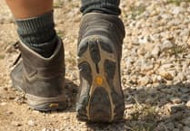 Discover Meirionnydd's Scenic Rambling Trails