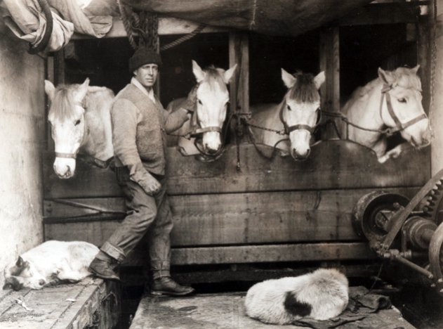 Captain Lawrence Oates with the Terra Nova expedition ponies