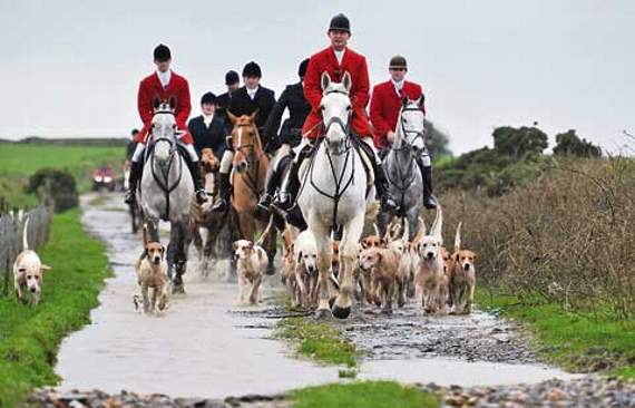 <p>Hampshire Hunt's Boxing Day meet will take place in Shalden at 11am on Monday, December 26</p>