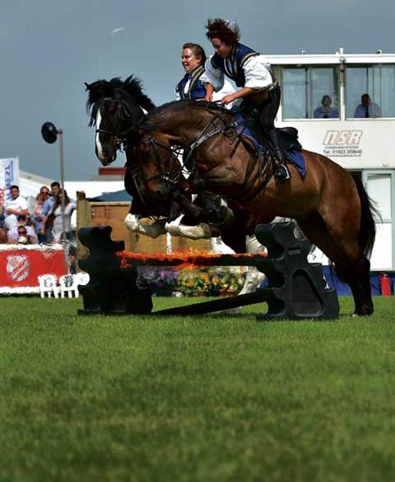 Poldark's Equine Stars from Atkinson Action Horses.
