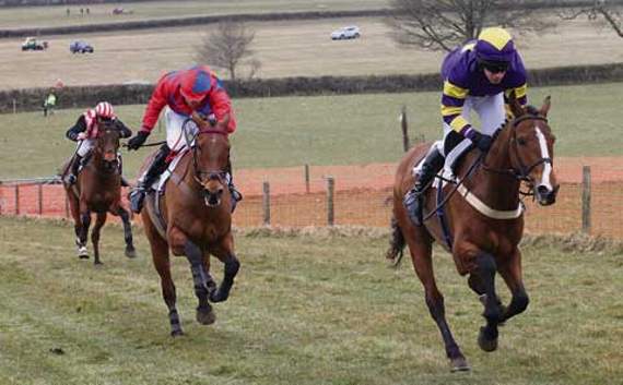 Robin in action.