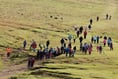Over 100 people take part in walk to Roughtor for the Poppy Appeal