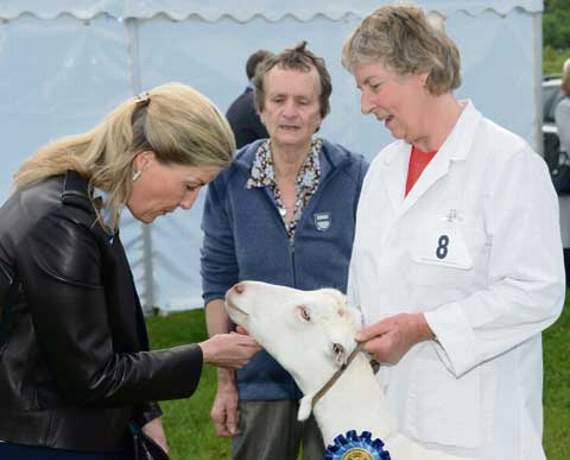 Sophie, Countess of Wessex, meets Sharon Owen of Altarnun who won first prize with her goat ‘Nightshaze Tottie’ for ‘Best Milker’ as the secretary of the goat section Wendy Webster looks on. Picture: Adrian Jasper