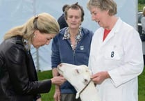 Devon County Show showcases the best of the West Country