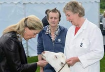 Devon County Show showcases the best of the West Country