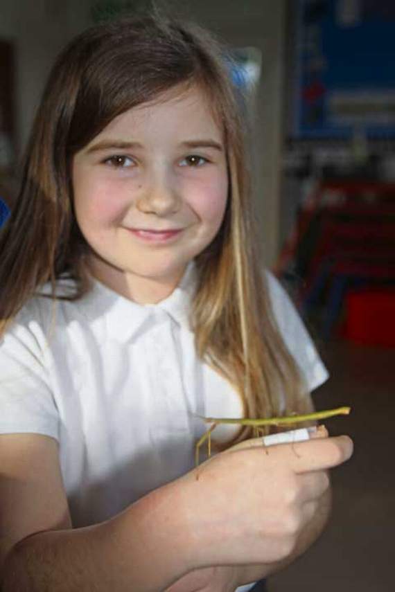 A pupil with the school’s stick insect. Picture: Paul Hamlyn