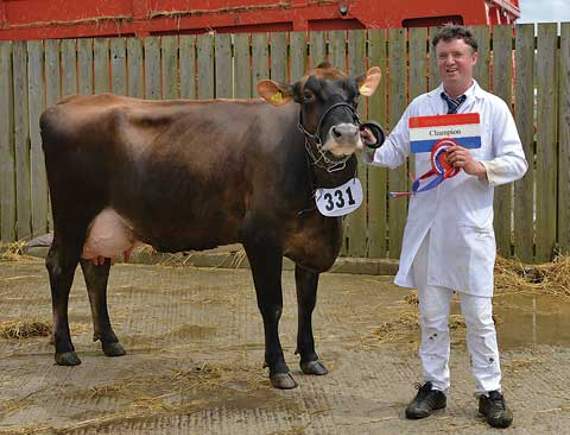 Roland Ley with champion Brown Swiss cow Culverden Coco. Pictures: Peter Glaser