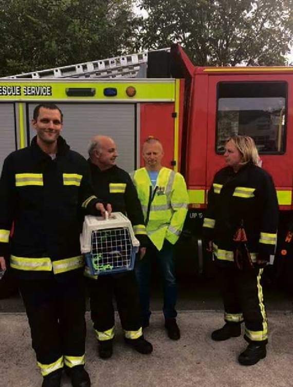 Hatherleigh fire crew aided Diana Lewis, from North Devon Animal Ambulance, with the rescue of a small hedgehog who had gotten trapped in a cattle grid.