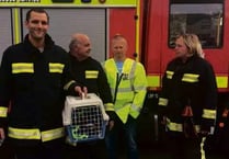 Hedgehog rescued by firefighters
