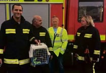Hedgehog rescued by firefighters
