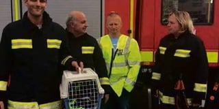 Hedgehog rescued by firefighters
