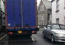Resident calls for traffic measures after her house is hit by vehicles