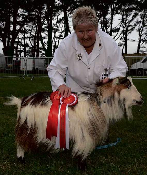 Sharon Davies from Bradworthy, who amongst other prizes, picked up best veteran female in the pygmy goat classes with Larkfield Lily. Pictures: Adrian Jasper (and contributed).