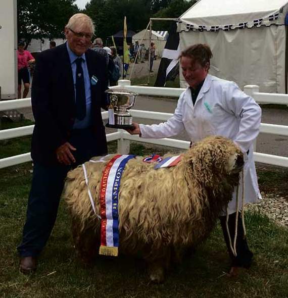 Julie Satchell of Whitelodge Smallholding, St Gennys being presented the cup for winning the Grey Face Dartmoor Aged Ram class at the Royal Cornwall Show on Thursday. She also picked up prizes for breed champion and champion male. Julie said: “It’s a traditional local breed and it’s nice to be able to show them here, particularly in Cornwall.”