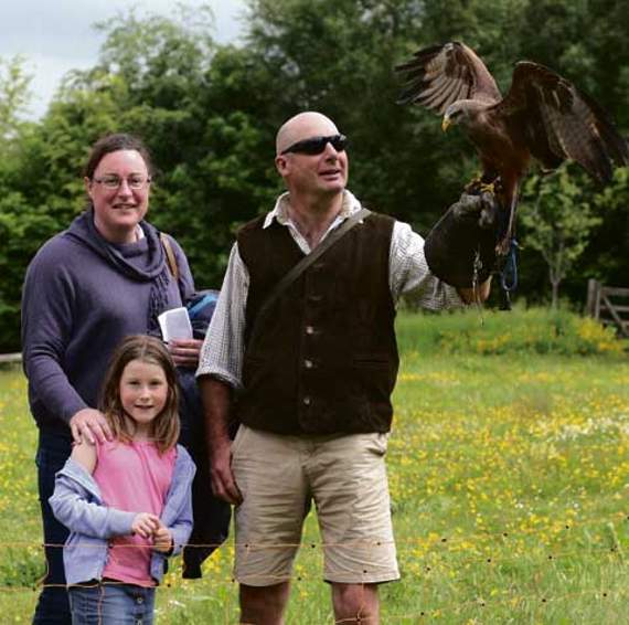 The falconry display by Westcountry Falconry proved extremely popular with visitors.