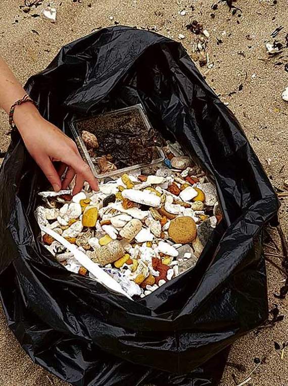 Some of the rubbish collected on the beach.