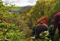 Round two of iWalk Cornwall's wonderful walks