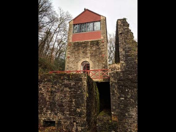 Danescombe Engine House.