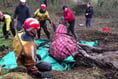 Fire crews help rescue horse stuck in slurry pit