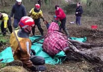 Fire crews help rescue horse stuck in slurry pit