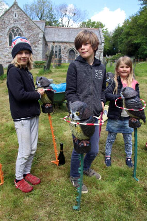 The Knight children from Poundstock having a go at ‘Hook the Owl.’ Pictures: Paul Hamlyn