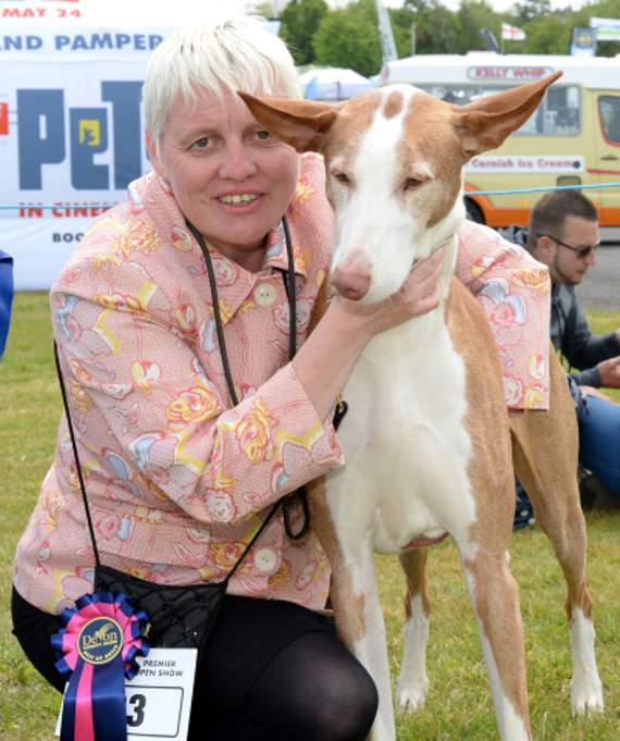 Amanda Carter of Camelford won best of breed with Bolt.