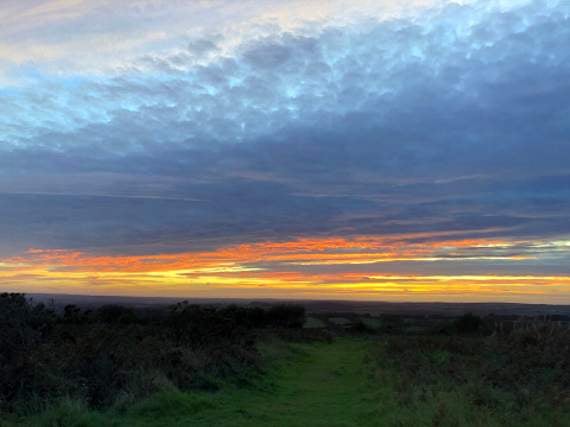 Another entry sent in by Joanna Speare.