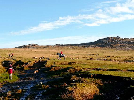 The hunt on Bodmin Moor.