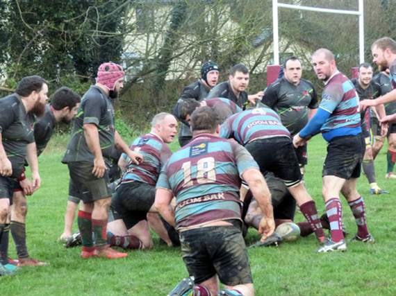 Bude scrum-half Steve Yates assesses his options from a ruck.