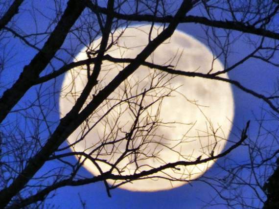 The wolf moon, captured on camera by Reg Godwin