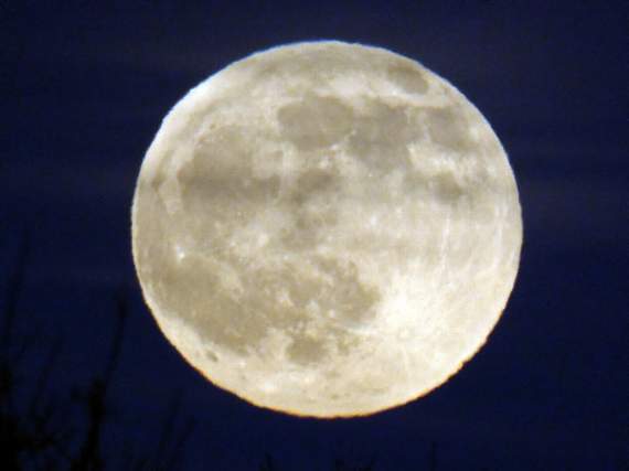 The wolf moon, captured on camera by Reg Godwin