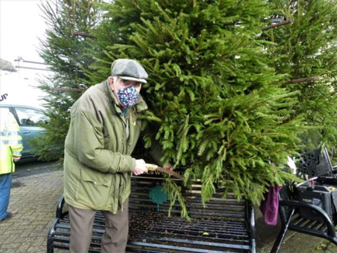 Holsworthy & District Lions Club member Jeff Wyatt helping delicately trim the trees