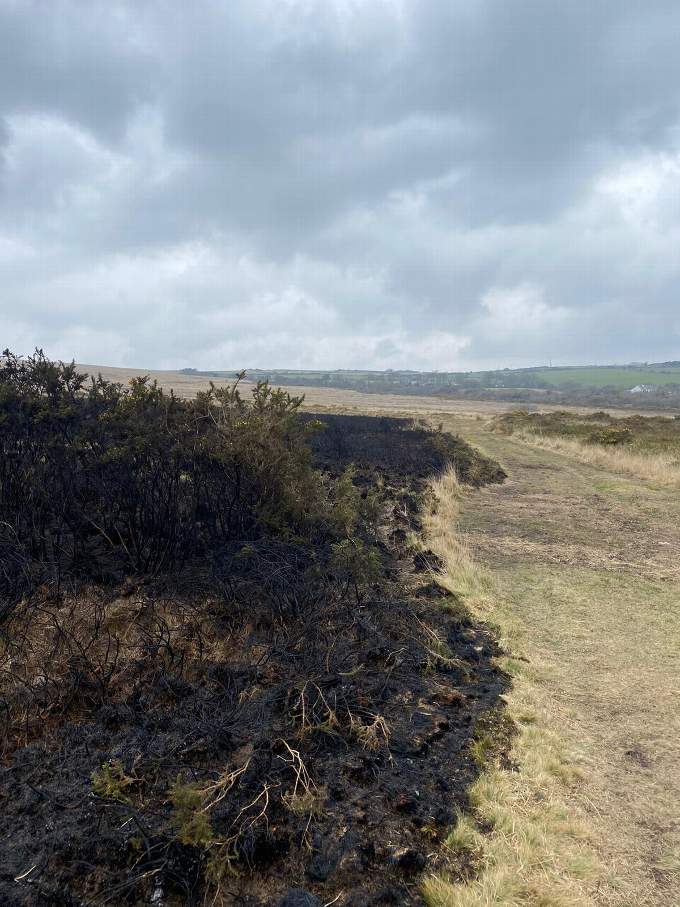 Fire breaks helped to slow the spread of the fire. Picture: Cornwall Wildlife Trust