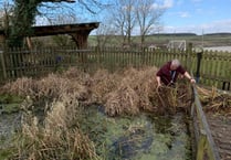 Project to turn Boasley Cross Primary School pond into environmental facility