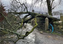 Fallen trees, damaged roofs, power outages and travel disruption follow in the wake of Storm Eunice