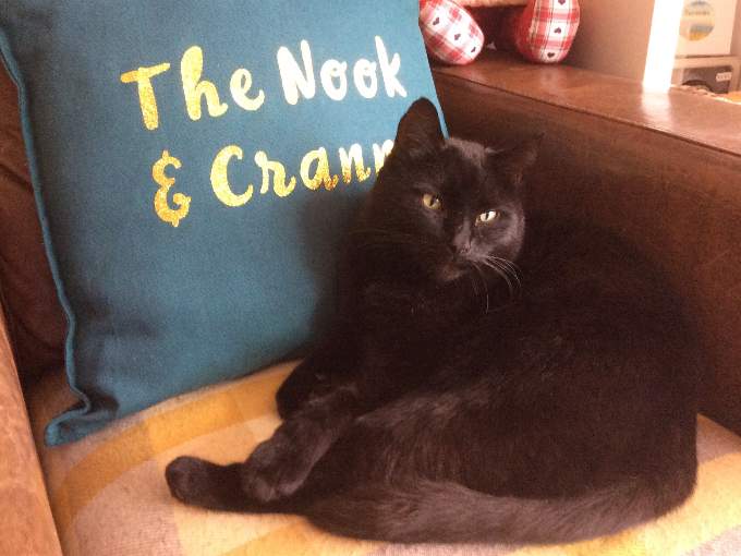 Elvis makes himself at home