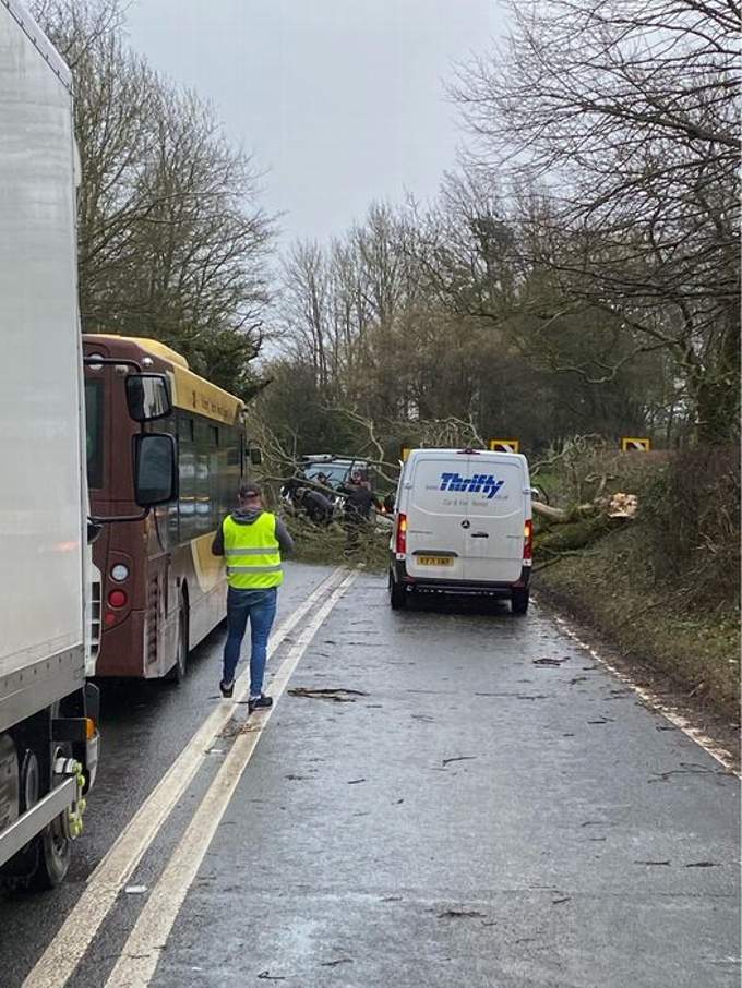 A tree down on the Taunton to Minehead road. PHOTO: Lee Wescott