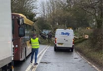 Storm Eunice hits West Somerset