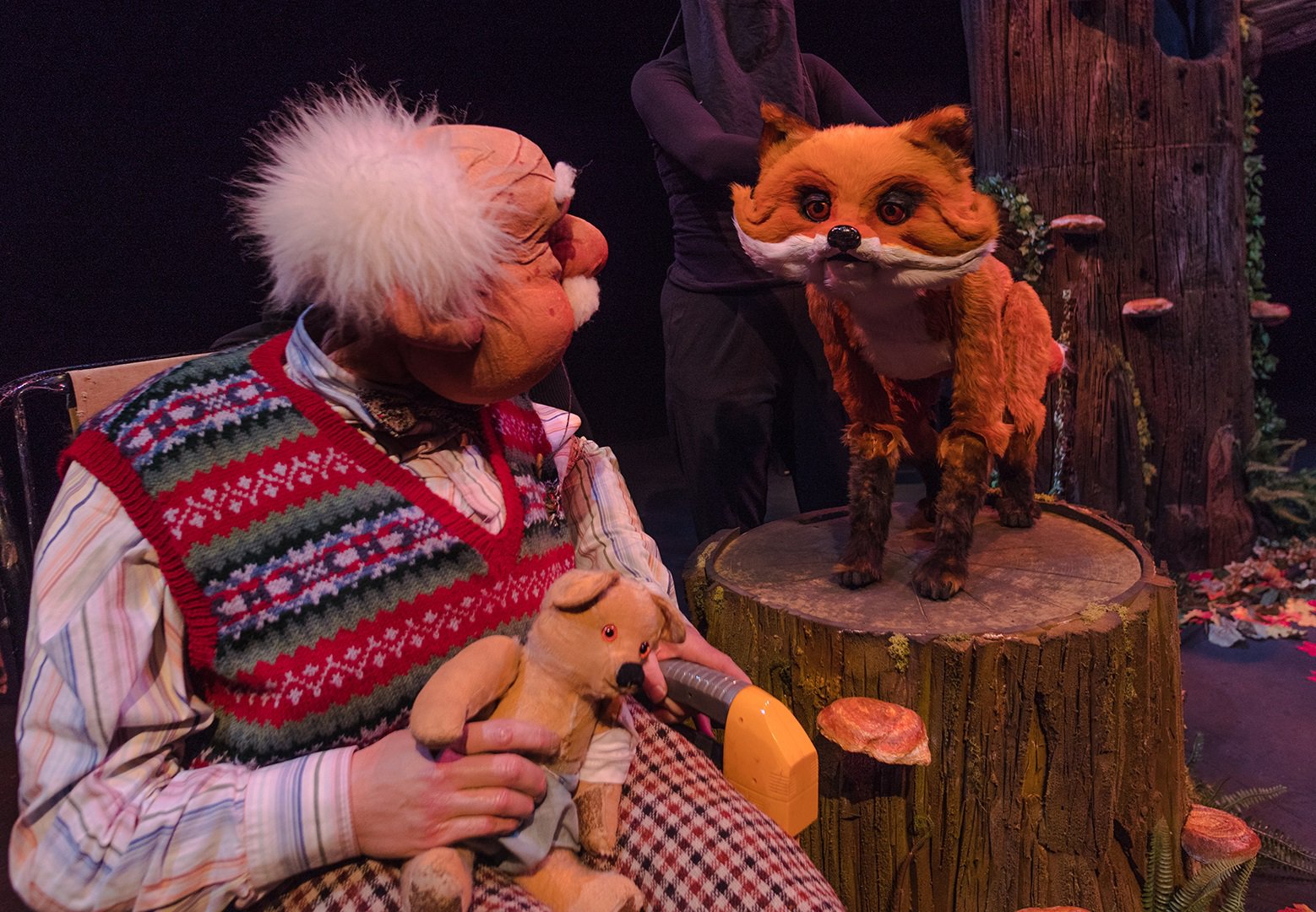Woodland Tales with Grandad